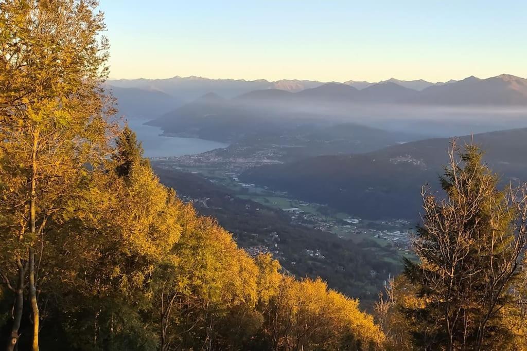 B&B Vegan La Mucca Felice - Grazioso Appartamento Nel Verde Rancio Valcuvia Exterior photo